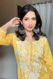 Mahira Rayon Printed Chikankari Kurti